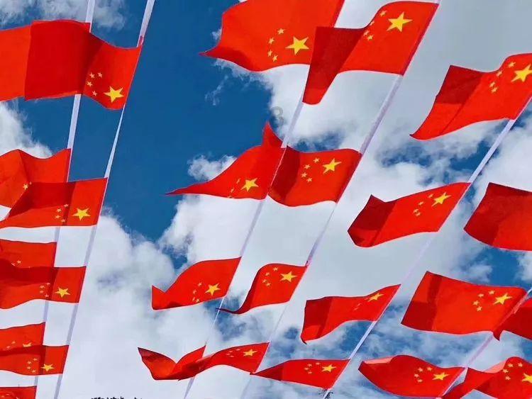 探秘保定考叉车证的具体地址,解答你心中疑惑